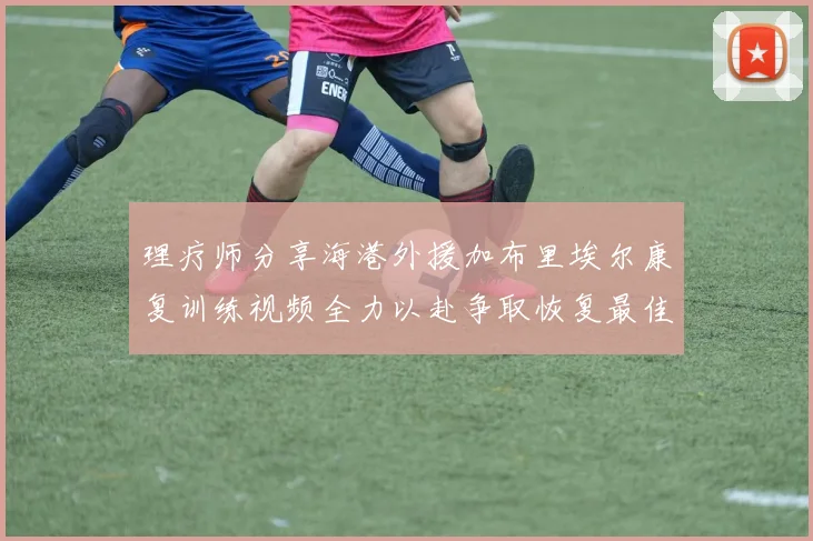 理疗师分享海港外援加布里埃尔康复训练视频全力以赴争取恢复最佳状态