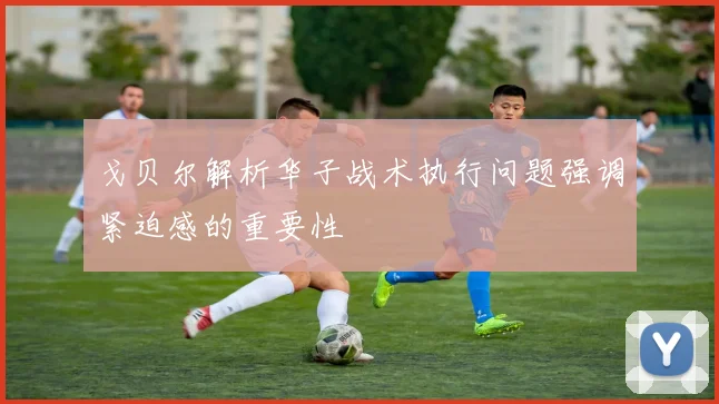 戈贝尔解析华子战术执行问题强调紧迫感的重要性