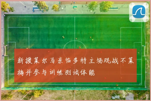 新援莱尔马亲临多特主场观战不莱梅并参与训练测试体能
