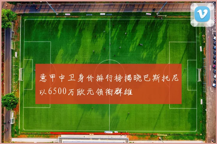 意甲中卫身价排行榜揭晓巴斯托尼以6500万欧元领衔群雄